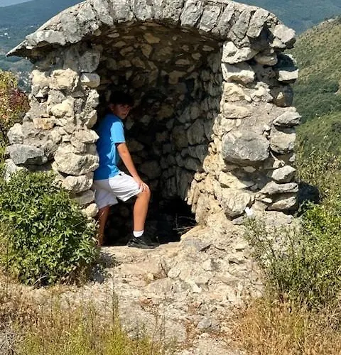 Gismondi Sora